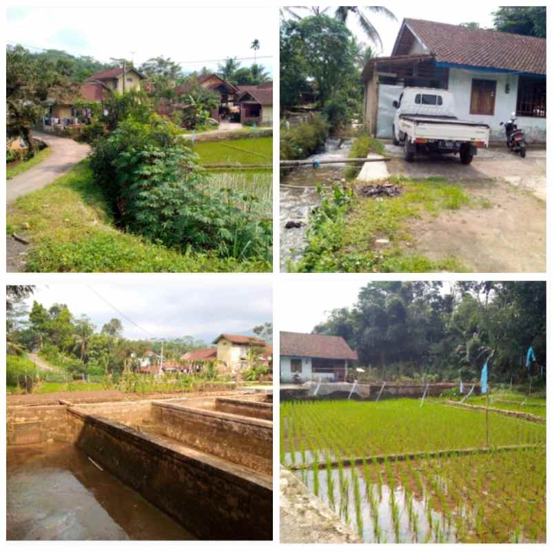 dijual tanah subang