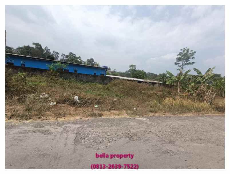 dijual tanah tajem