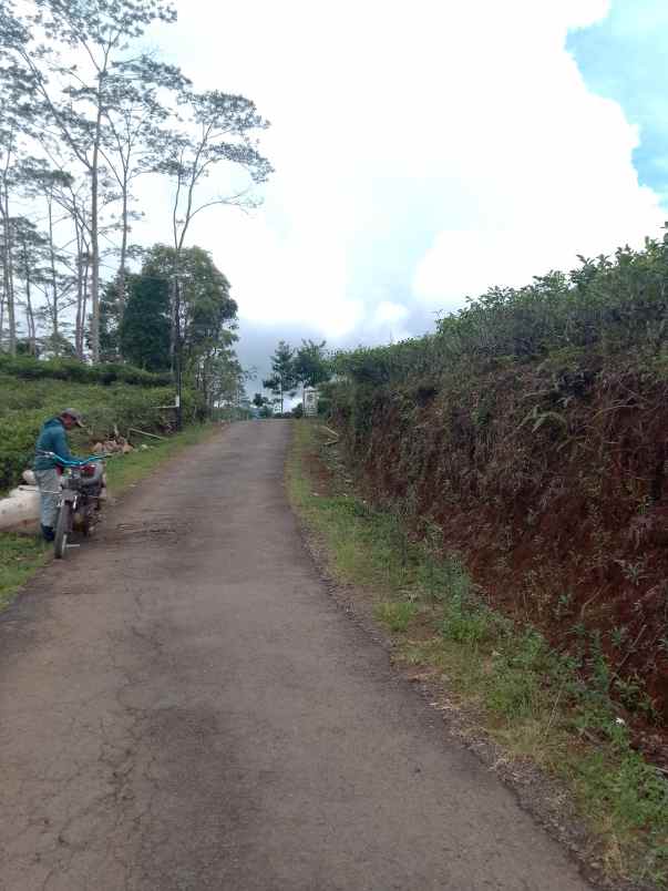 dijual tanah taraju kabupaten tasikmalaya