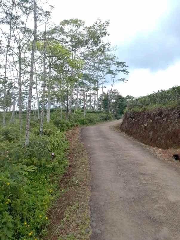 dijual tanah taraju kabupaten tasikmalaya