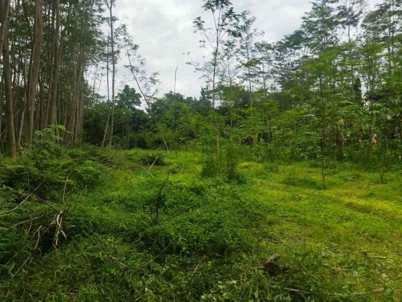 dijual tanah teras boyolali