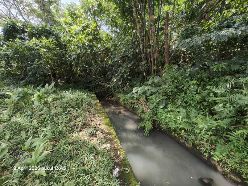 dijual tanah timpag tabanan bali