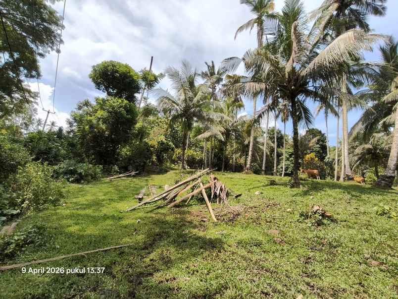 dijual tanah timpag tabanan bali