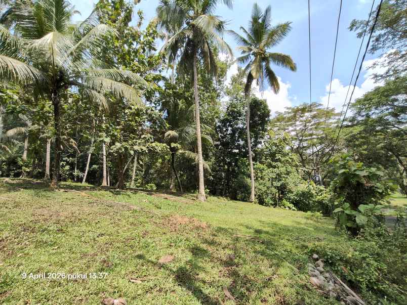 dijual tanah timpag tabanan bali