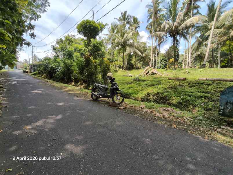 dijual tanah timpag tabanan bali