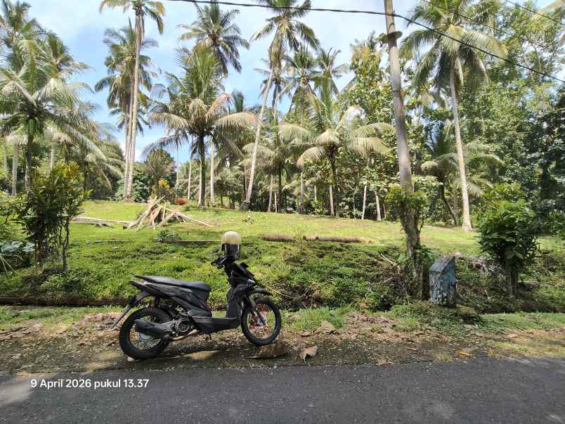 dijual tanah timpag tabanan bali