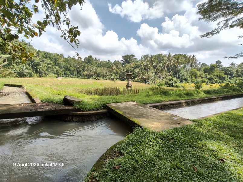 dijual tanah timpag tabanan bali
