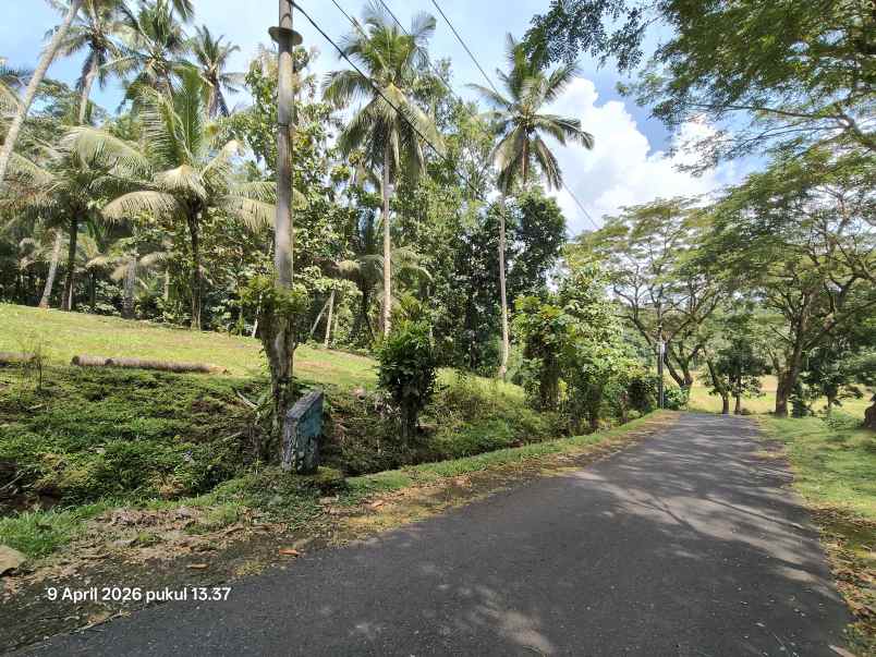 dijual tanah timpag tabanan bali