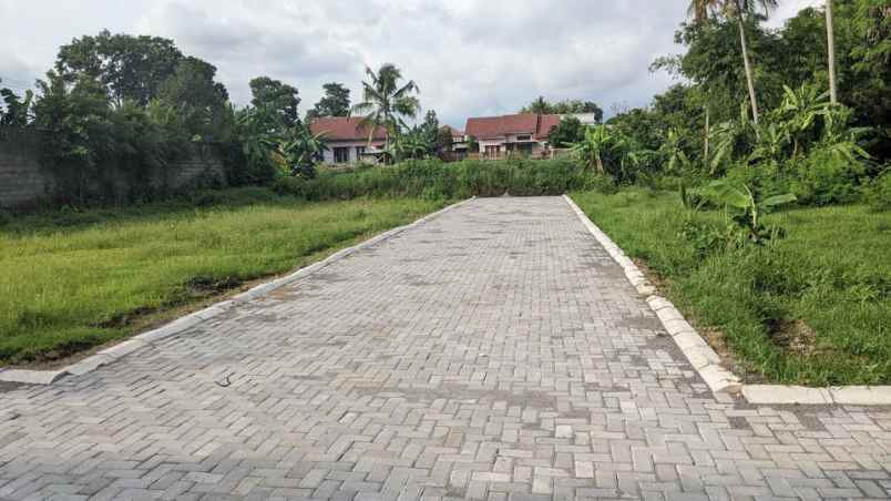 dijual tanah timur jl palagan jogja shm