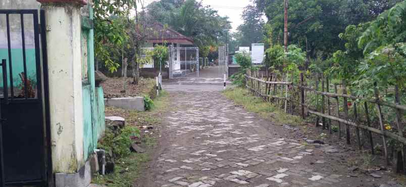 dijual tanah wedomartani kec ngemplak