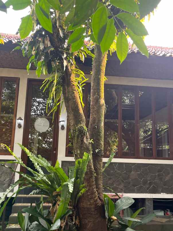 dijual villa jl bougenville