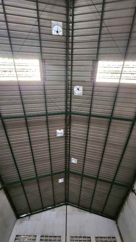 disewa murah gudang surya kadu jatake tangerang