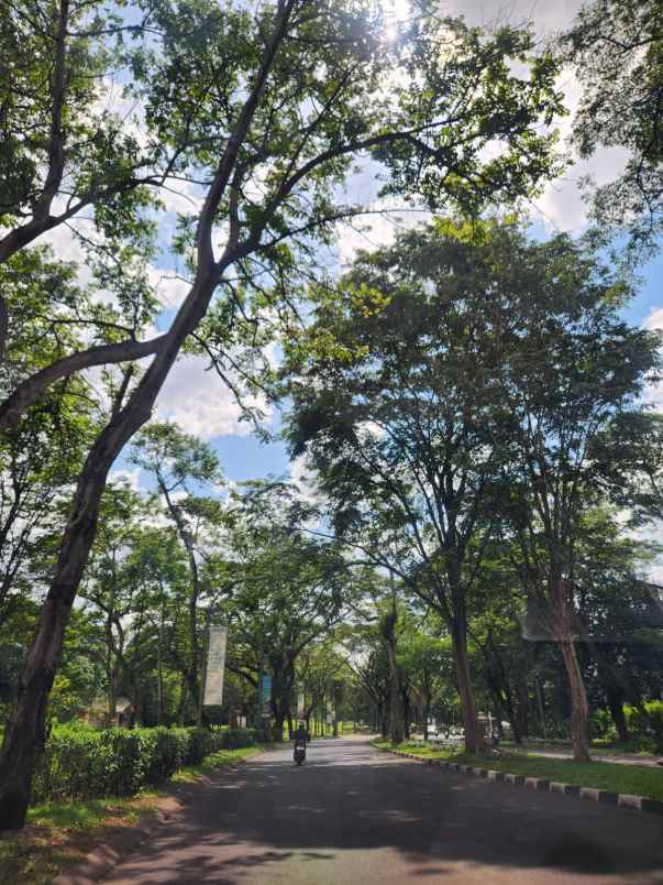 disewa rumah 3 kamar hook talaga bestari tangerang