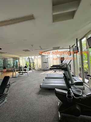 disewakan apartemen jalan kemang raya