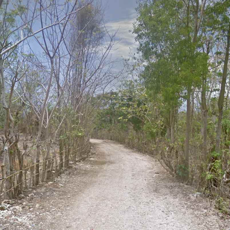 dujual 1 56 ha full view jl penaga pecatu kuta selatan