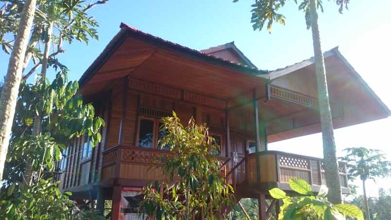 jual rumah panggung kayu