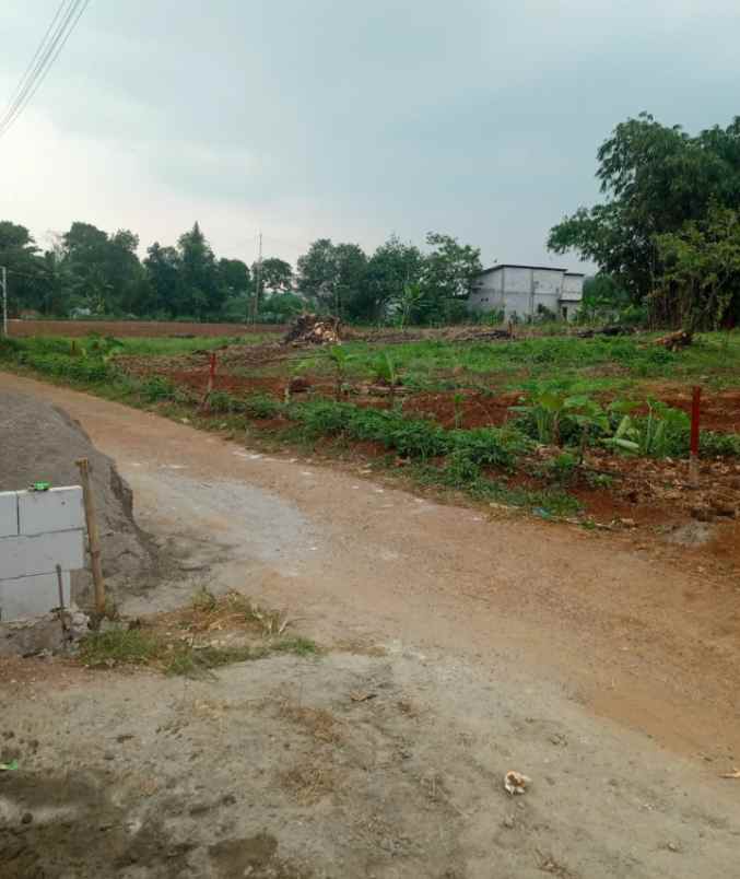 jual tanah kavling murah dekat stasiun citayam