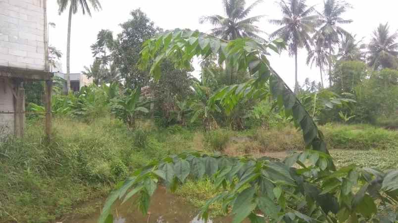 jual tanah untuk kebun dan kolam ikan