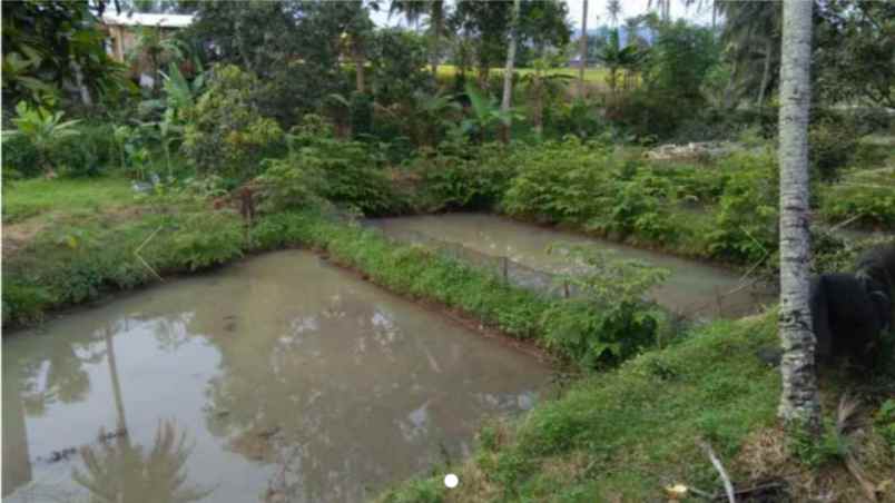 jual tanah untuk kebun dan kolam ikan