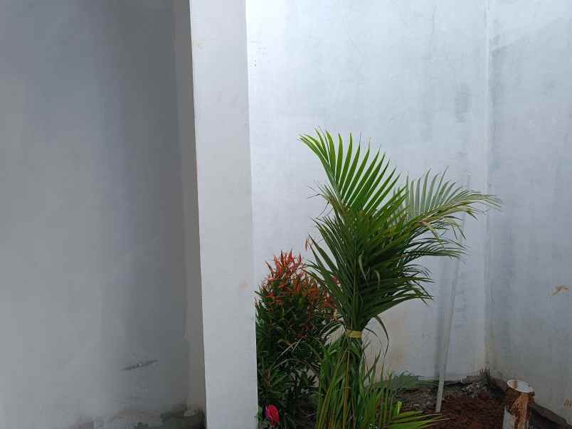 rumah harga 300jt an dekat undip tembalang banyumanik