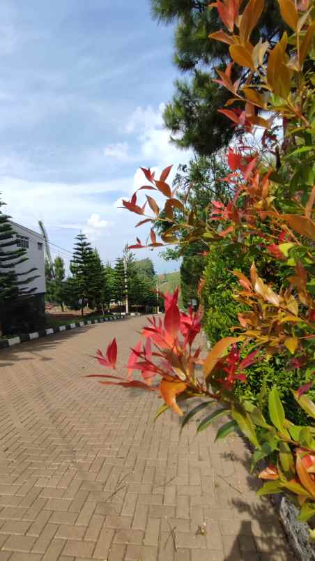 rumah jl cempaka panyirapan