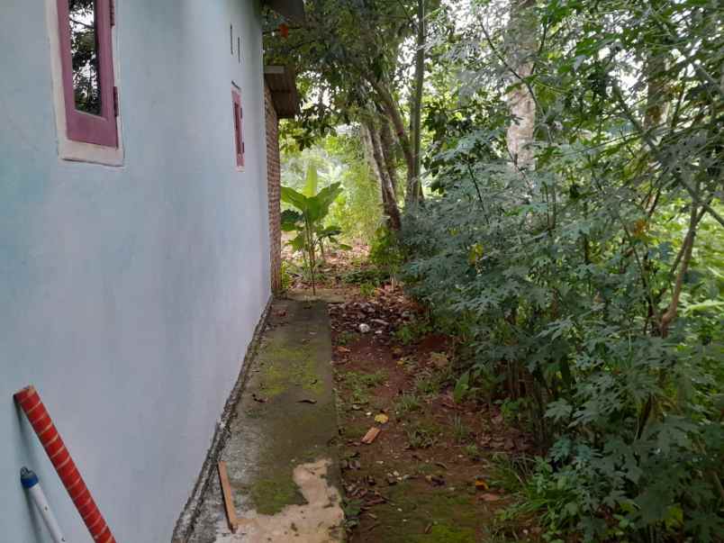 rumah murah 100 jutaan dekat polda banten