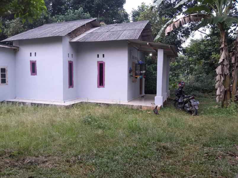 rumah murah 100 jutaan dekat polda banten