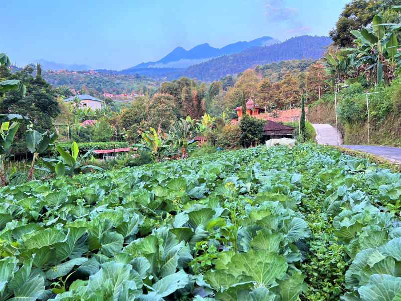 tanah 125 juta di kota wisata kemuning karanganyar