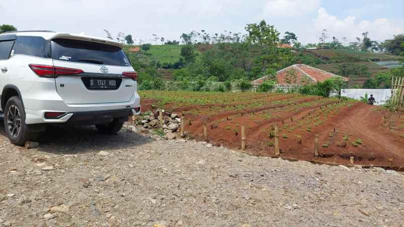 tanah 8000 m2 lahan kebun