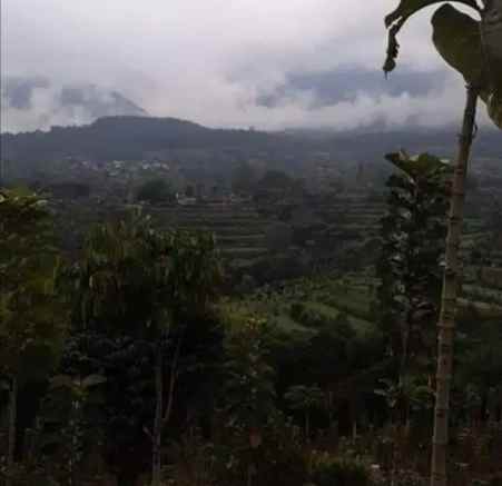 tanah batunya baturiti tabanan bali