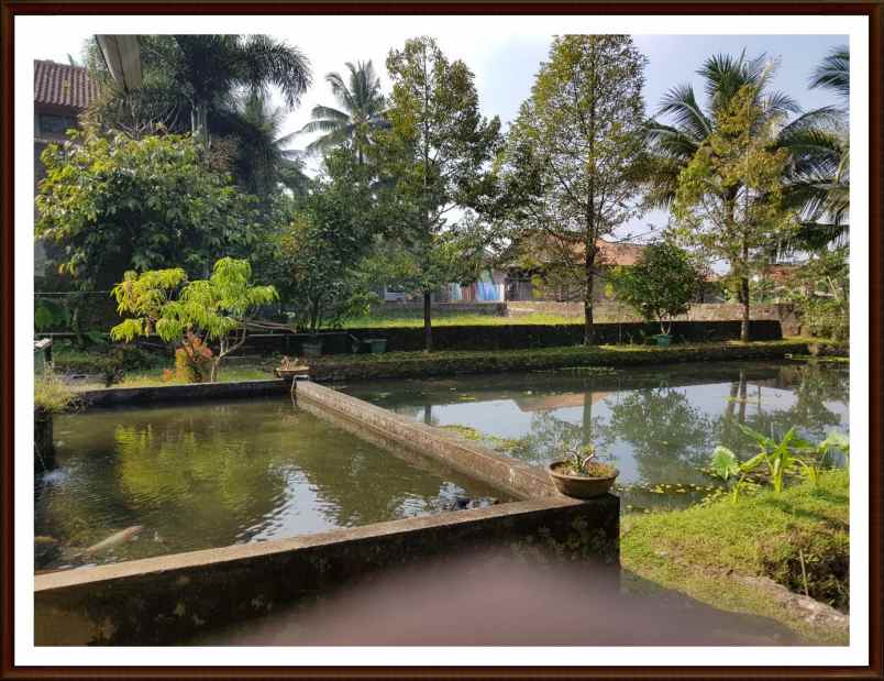 tanah beji kedung banteng