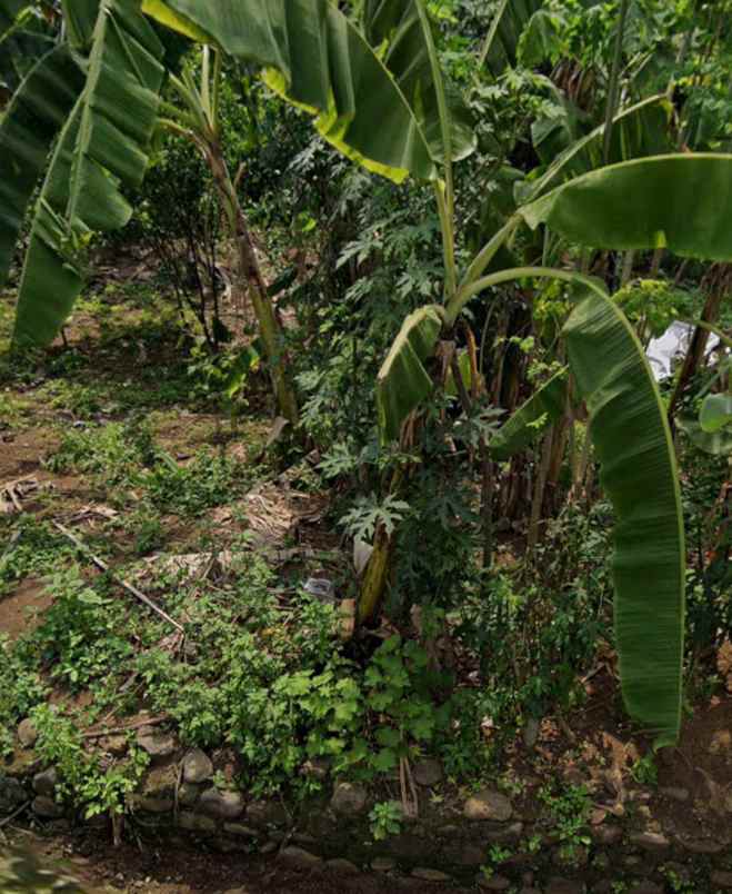 tanah bendan duwur gajahmungkur semarang
