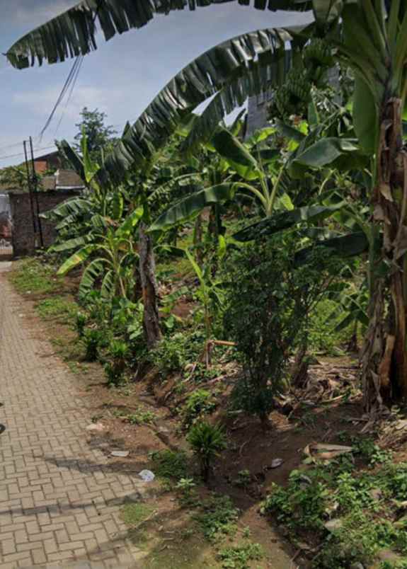 tanah bendan duwur gajahmungkur semarang