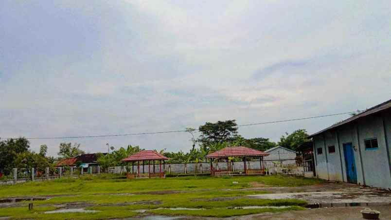 tanah dan desel padi di batujaya karawang