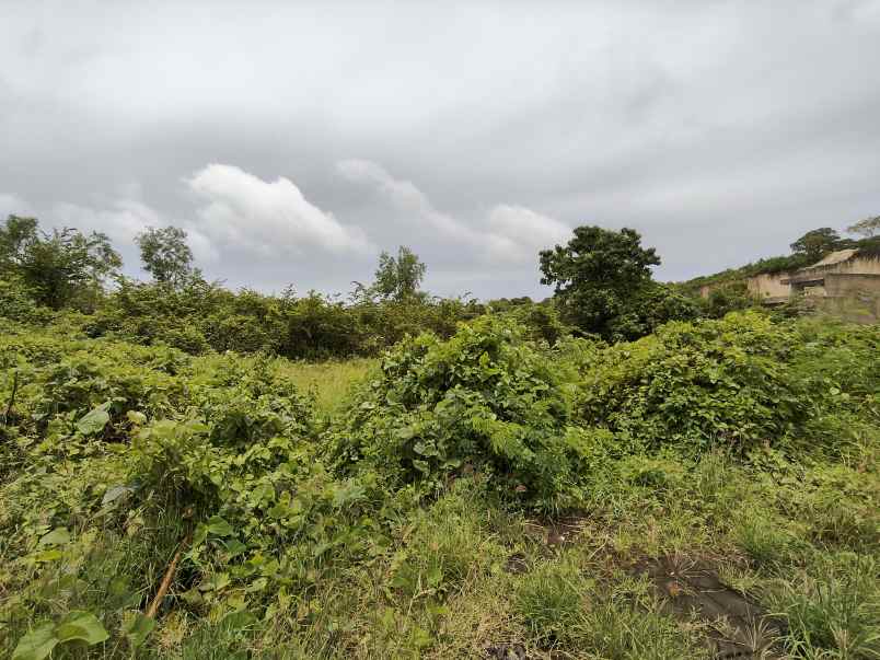 tanah dekat greenbowl dan pandawa beach bali