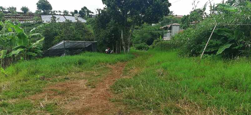 tanah desa mekar saluyu kampung