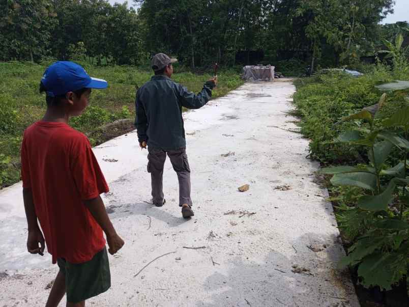 tanah di perkampungan sertifikat siap balik nama