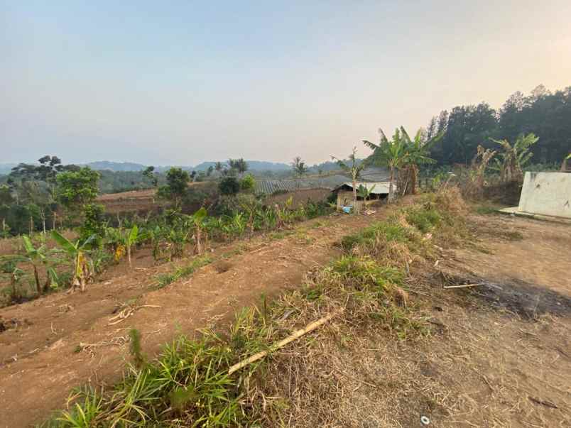 tanah dijual di jln sordog kampung lamping sukabumi