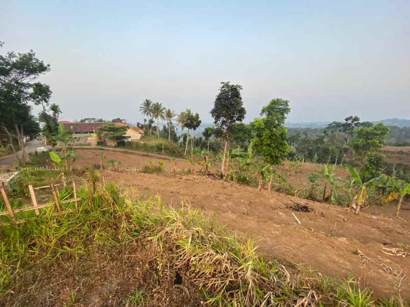 tanah dijual di jln sordog kampung lamping sukabumi