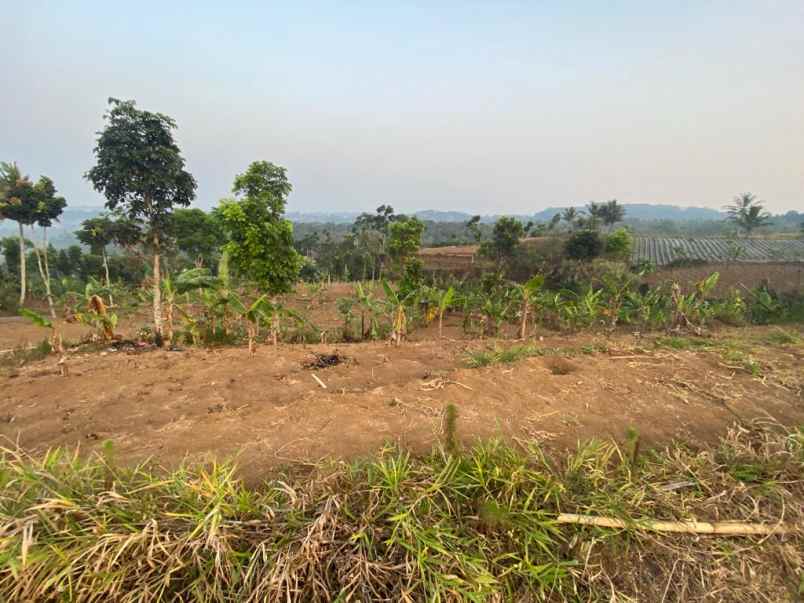 tanah dijual di jln sordog kampung lamping sukabumi