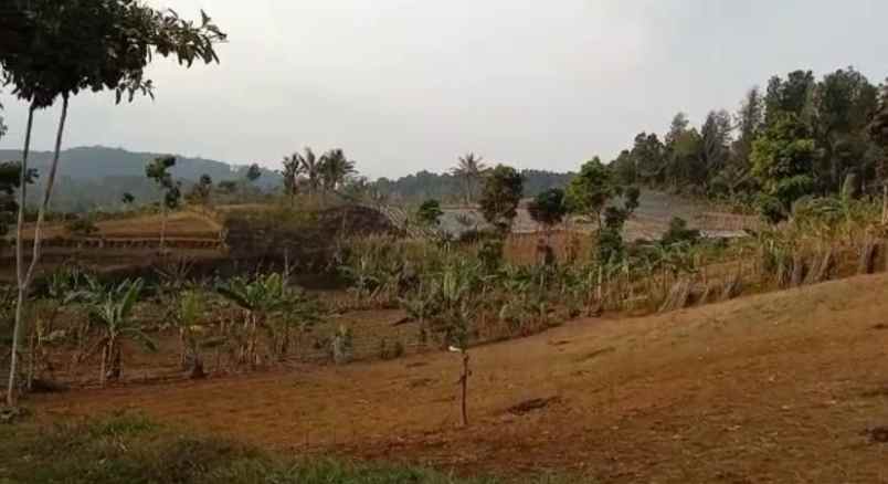 tanah dijual di jln sordog kampung lamping sukabumi