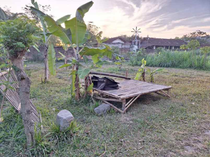 tanah dijual plosokandang tulungagung hanya 1jt m