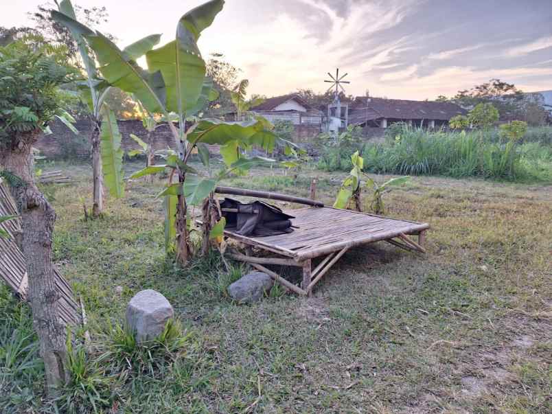 tanah dijual plosokandang tulungagung hanya 1jt m