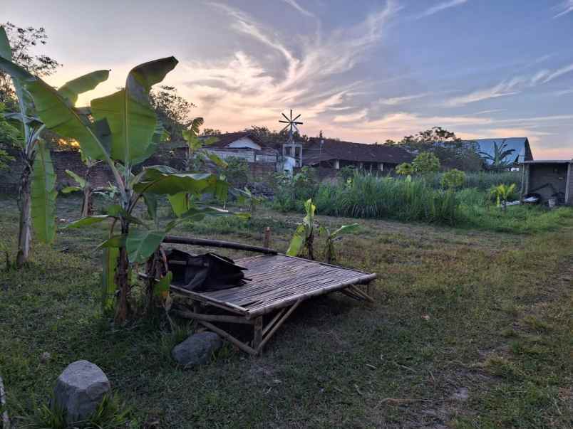 tanah dijual plosokandang tulungagung hanya 1jt m