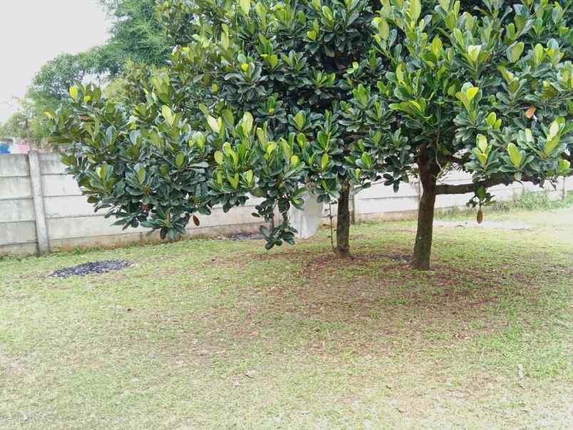 tanah jl tajur halang bogor