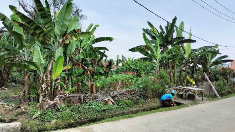 tanah kavling murah shm dramaga bogor dekat kampus ipb