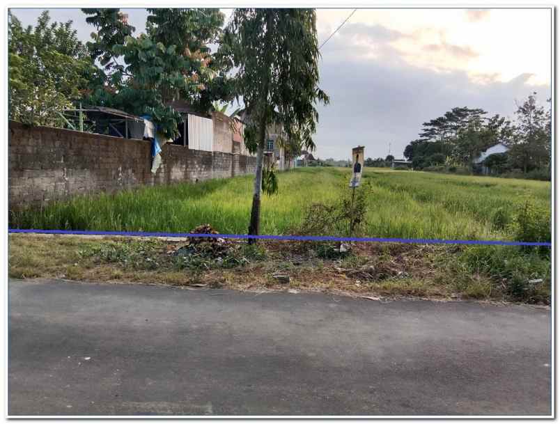 tanah klaten murah dekat exit toll jogja solo