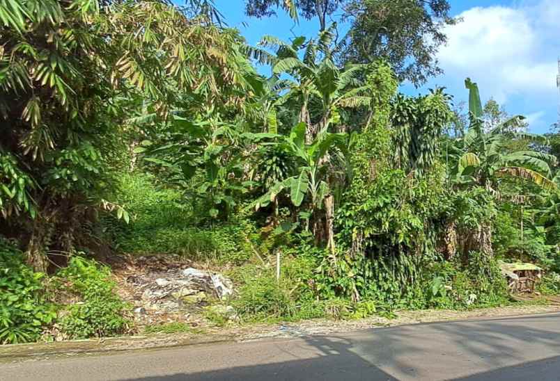 tanah luas dekat rsau salamun unpar kota bandung