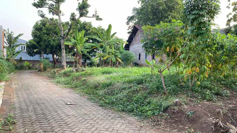 tanah murah daerah mulawarman semarang