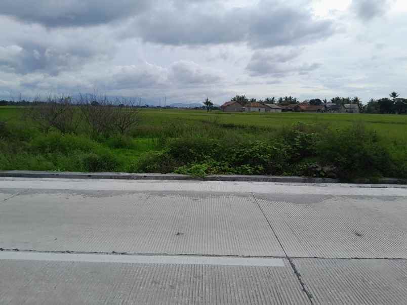 tanah murah pinggir jalan raya kilasah sawah luhur